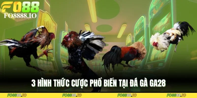 3-hinh-thuc-cuoc-pho-bien-tai-da-ga-ga28