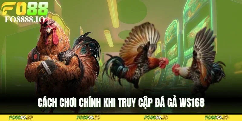 cach-choi-chinh-khi-truy-cap-da-ga-ws168