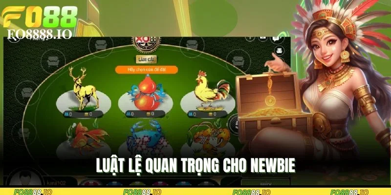 luat-le-quan-trong-cho-newbie