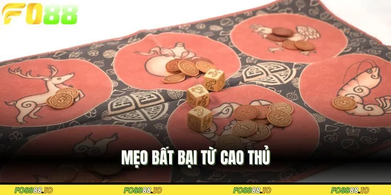 meo-bat-bai-tu-cao-thu