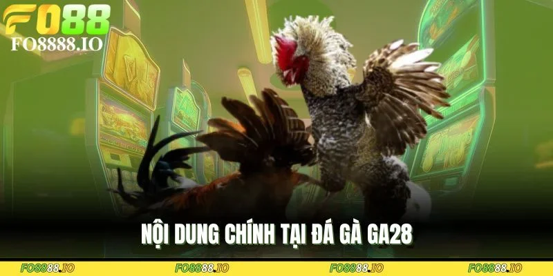 noi-dung-chinh-tai-da-ga-ga28